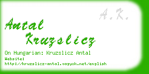 antal kruzslicz business card